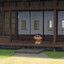 _shinchin0_.