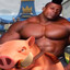 Аллах Аккбаер