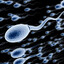 Sperm
