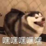 剩4个队友？我保了