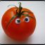 The Last Tomat