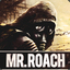 Mr. Roach