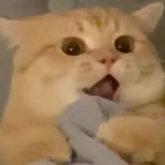 七月是在下输了