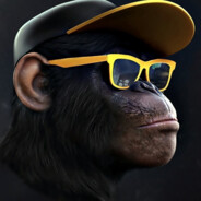 Rashin avatar