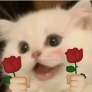 =≡Σ((( つ•̀ω•́)つ