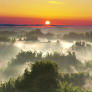 月亮上的月桂树