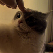 你的电冲没有我手冲快