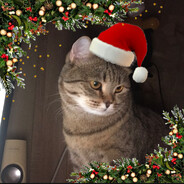 катёна новогодни