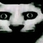 okorok