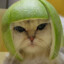 Melon Cat