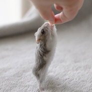 Peace And Kindness ♥
