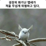 스멜린