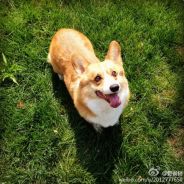 船到桥头自然翻