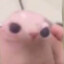 bingus