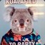 AussieBoy