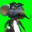 rato judeu