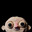 Marcel