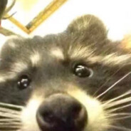 多糖多醋少放辣