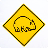 Wombat