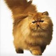 Yarikxq - steam id 76561199712779783