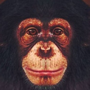 feral chimp