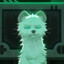 Stoat