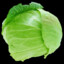 KAPUSTA