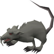 Giant Rat