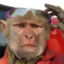 Monkey~King