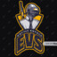 EVS