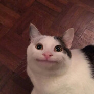 <БЕЛУГА> avatar