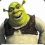 @!^(SHREK)^!@