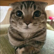 Богдан Гоголев