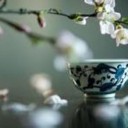 人生有酒多忘欢