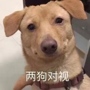 啊对是我怎样不爽啦