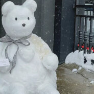 宇宙无敌大白兔