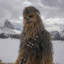 Chewbacca