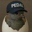 pedal