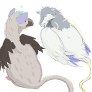 オオトリpigeon avatar