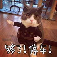 突然记起你的脸