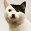 Kittler