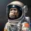 spacemonkey