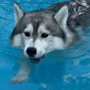 渴望黑丝的少年