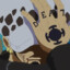 Trafalgar Law