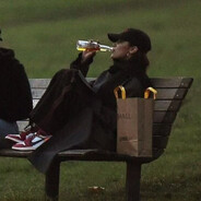 朝如青丝暮成雪