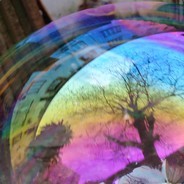 dds_SaveThePlanet🌍