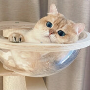 Dr. Gordon Freeman Ph.D.