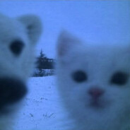 Avatar snapshot