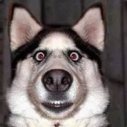 [追梦、圆梦] 国服瘤子太多，来东南亚打猴子