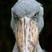 Protossmind